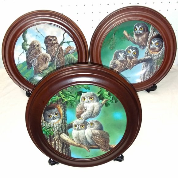 3 Bradford Exchange Owl Plates with Wood Frames and Easels - Picture 1 of 12